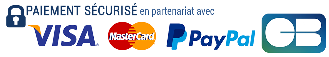 paiement-sécurité-visa-mastercard-paypal-cb