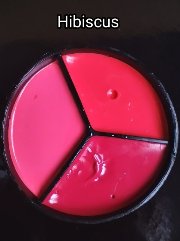 Gel couleur pour nailart et semi